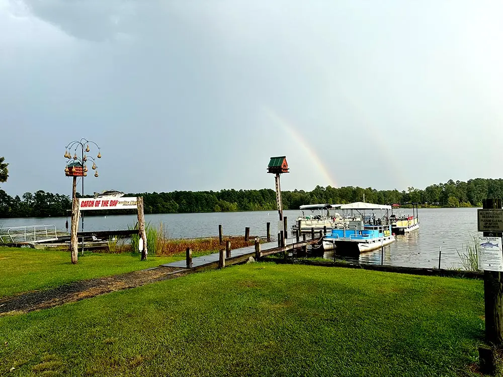 Rental Pontoon boats moored on one of our seven piers.